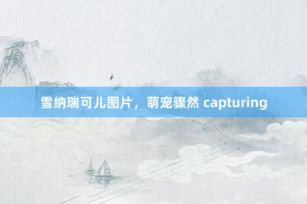 雪纳瑞可儿图片，萌宠骤然 capturing